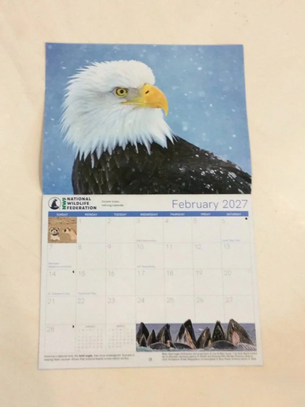 National Wildlife Federation 2026-2027 18-Month Calendar